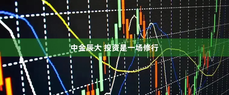 中金辰大 投资是一场修行