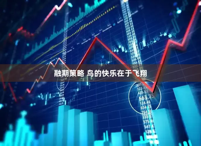 融期策略 鸟的快乐在于飞翔