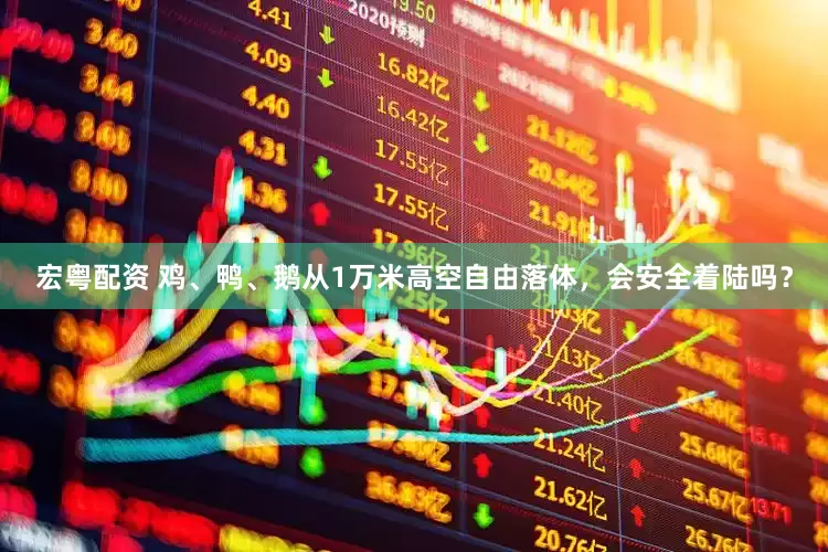 宏粤配资 鸡、鸭、鹅从1万米高空自由落体，会安全着陆吗？