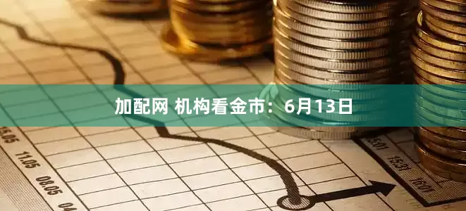加配网 机构看金市:6月13日